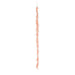 Ghirlanda con piume e corda cipria | OlimpiaHome. (3818968)