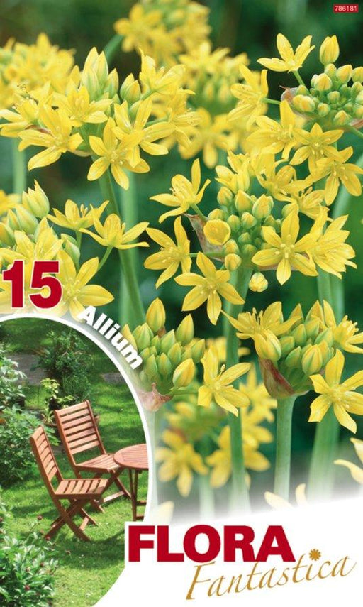 Allium Moly - Confezione da 15 bulbi Fioral (2491782)