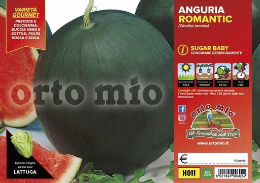 Anguria sugar baby Romantic F1 - 4 piante - Orto Mio Orto Mio (2491853)