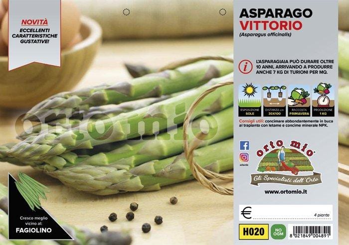 Asparago verde Vittorio F1 - 4 piante - Orto Mio Orto Mio (2491929)