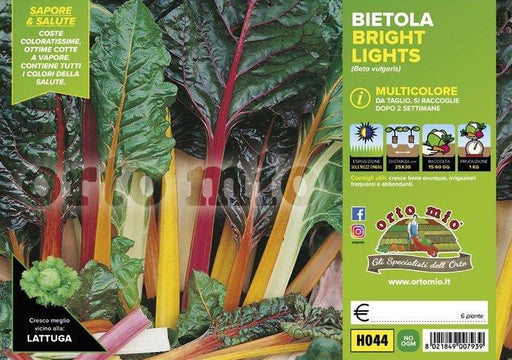 Bietola da costa e da taglio multicolore Bright Lights F1 - 6 piante - Orto Mio Orto Mio (2492062)