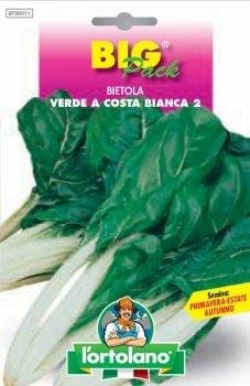 Bietola da Costa Verde a Costa Bianca 2 ( Da Taglio ) - Big Pack - L' Ortolano L'Ortolano (2492065)