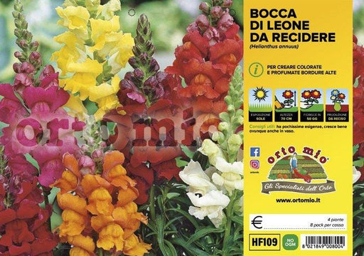 Bocca di Leone da recidere - 4 piante - Orto Mio Orto Mio (2492118)