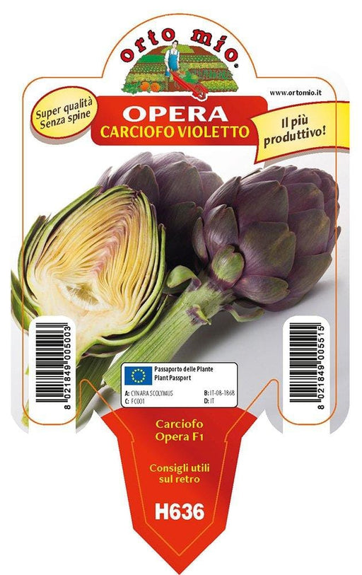 Carciofo Violetto Opera F1 - 1 pianta v.10 cm - Orto Mio Orto Mio (2492360)
