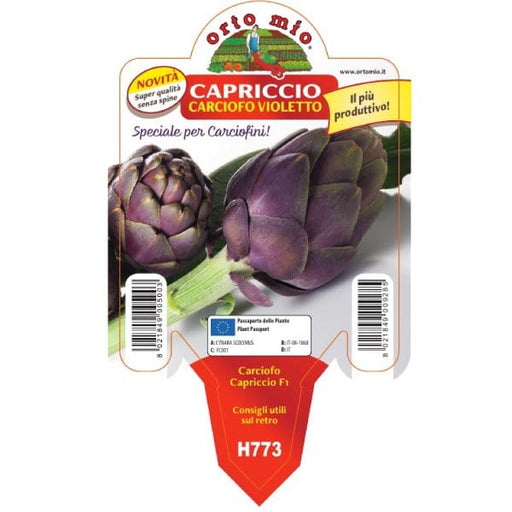 Carciofo Violetto Rifiorente precoce var. Capriccio F1 - 1 pianta v.10 cm - Orto Mio Orto Mio (2492362)