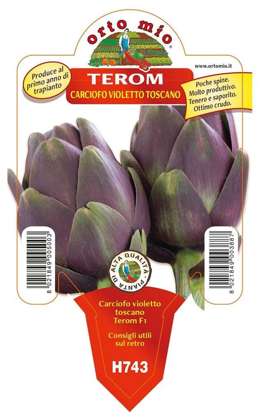 Carciofo violetto toscano Terom - 1 pianta v. 10 cm - Orto Mio Orto Mio (2492365)