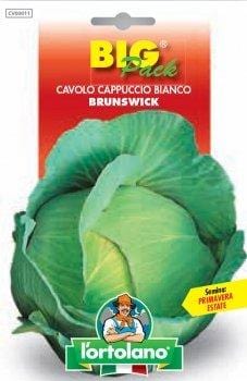 Cavolo Cappuccio Bianco Brunswick - Big Pack - L'ortolano L'Ortolano (2492659)