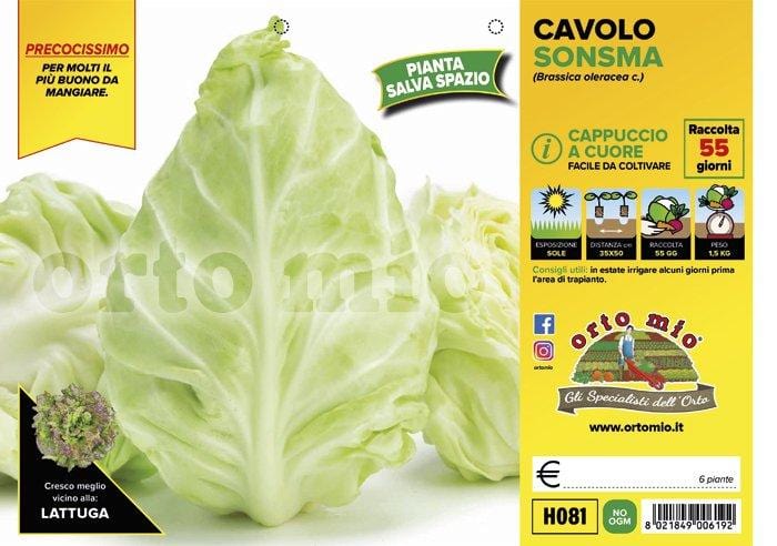 Cavolo cappuccio cuore verde Sonsma F1 - 6 piante - Orto Mio Orto Mio (2492661)