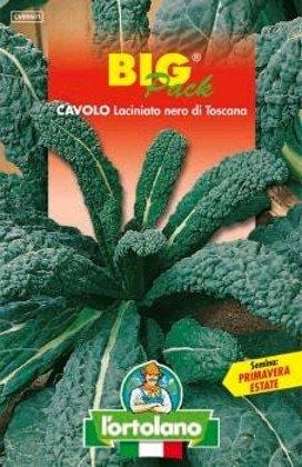 Cavolo Laciniato Nero di Toscana Big Pack - L'ortolano L'Ortolano (2492670)