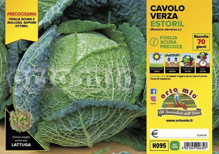 Cavolo verza scura precoce Estoril F1 - 6 piante - Orto Mio Orto Mio (2492682)