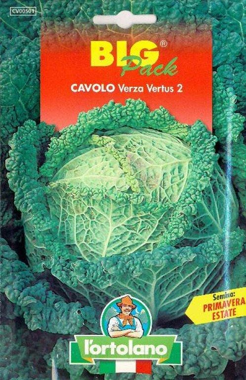 Cavolo Verza Vertus 2 Big Pack - L'ortolano L'Ortolano (2492684)
