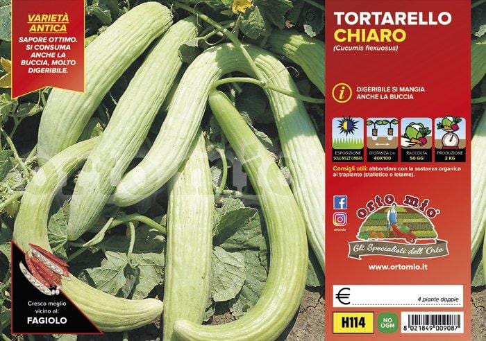 Cetriolo Tortarello chiaro - 4 piante - Orto Mio Orto Mio (2492756)