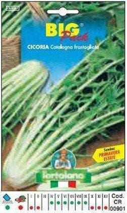 Cicoria Catalogna Frastagliata Big Pack - L'Ortolano L'Ortolano (2492784)