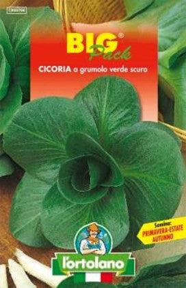 Cicoria Grumolo Verde Scuro Big Pack - L'Ortolano L'Ortolano (2492785)