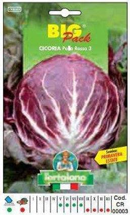 Cicoria Palla Rossa 3 Big Pack - Busta Sementi Per Orto L'Ortolano (2492786)