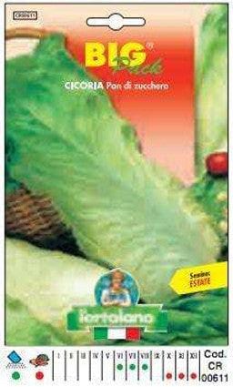 Cicoria Pan Di Zucchero Big Pack - Busta Sementi Seme L'Ortolano (2492787)