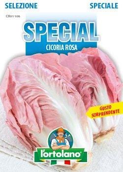 Cicoria Verona Rosa Special F1 - L'Ortolano L'Ortolano (2492790)