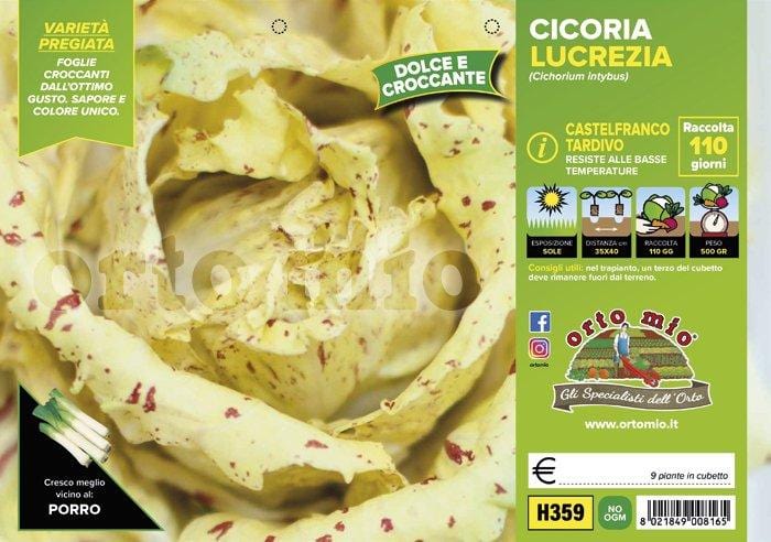 Cicorie e Radicchio Castelfranco tardivo Lucrezia - 9 piante - Orto Mio Orto Mio (2492796)