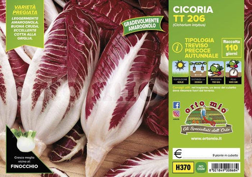 Cicorie e Radicchio Rossa di Treviso precoce autunnale TT 206 - 9 piante - Orto Mio Orto Mio (2492811)