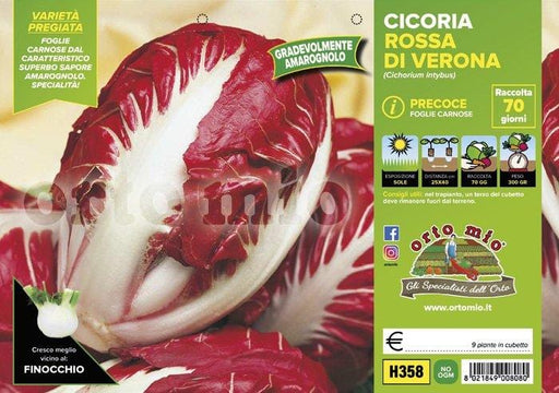 Cicorie e Radicchio rossa di Verona precoce - 9 piante - Orto Mio Orto Mio (2492815)