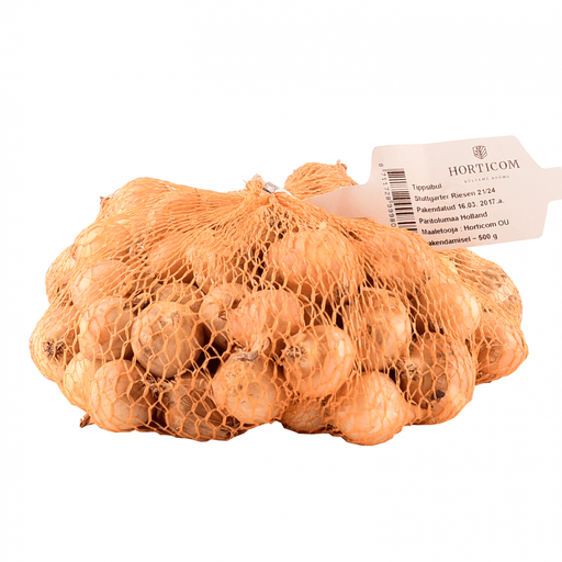 Cipolla in Bulbi varietà Stoccarda - L'Ortolano 500 gr L'Ortolano (2492929)