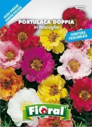 Fioral PORTULACA DOPPIA IN MISCUGLIO - Sementi in busta Fioral (2494065)