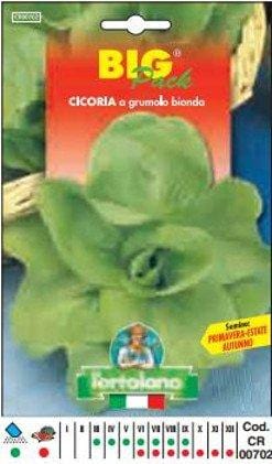L'ortolano Cicoria Grumolo Bionda Big Pack - Busta Sementi L'Ortolano (2495007)