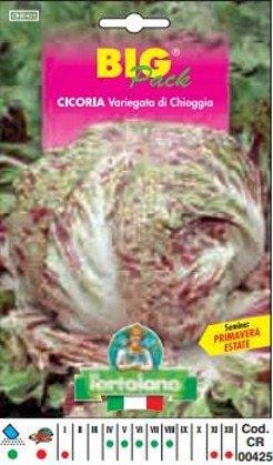 L'ortolano Cicoria Variegata Di Chioggia Big Pack - Busta Sementi L'Ortolano (2495010)