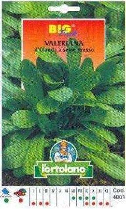 L'Ortolano VALERIANA D'OLANDA A SEME GROSSO BIG PACK - Seme in bustina L'Ortolano (2495047)