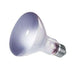 Lampada Spot Daylight - 100 W E27 - Ferplast Ferplast (2495080)