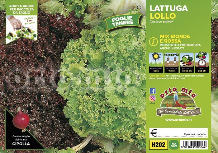 Lattuga lollo mix Locarno-Concorde - 9 piante - Orto Mio Orto Mio (2495138)