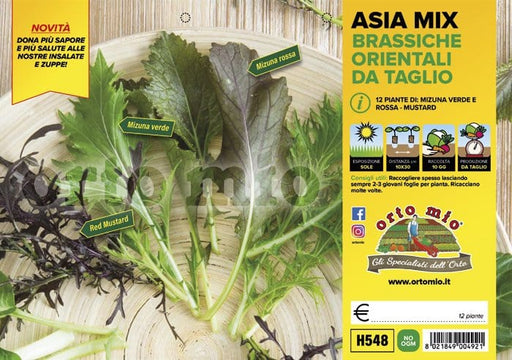 Lattuga Mix di brassiche Orientali Asia Mix - 12 piante - Orto Mio Orto Mio (2495139)