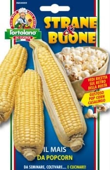 Mais Pop Corn Chef in semi - L'Ortolano in Cucina L'Ortolano (2495379)