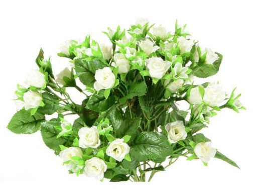 Mazzo di rose piccole bianche - 20x30 cm Blumissima (2495557)