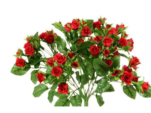 Mazzo di rose piccole rosse - 20x30 cm Blumissima (2495559)