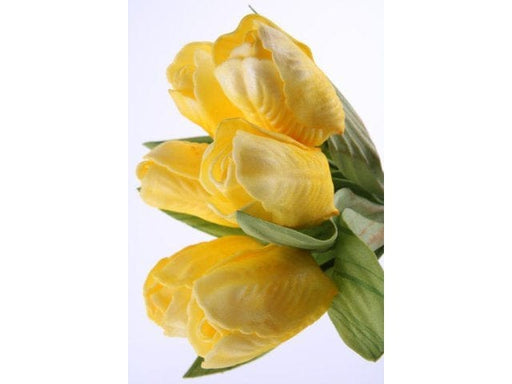 Mazzo di tulipani mini - 23 cm Blumissima (2495560)