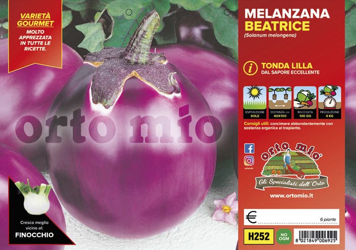 Melanzana tonda lilla Beatrice F1 - 6 piante - Orto Mio Orto Mio (2495583)