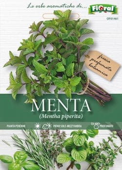 Menta Piperita - Sementi di Aromatica - Fioral Fioral (2495671)