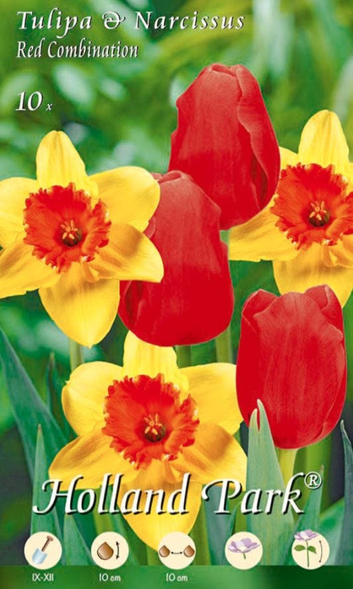 Miscela Tulipani rossi e Narcisi gialli - 10 bulbi Fioral (2495703)