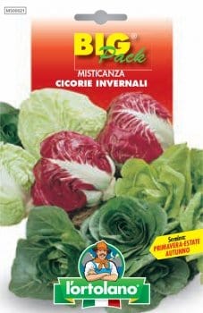 Misticanza di Cicorie Invernali - Sementi - L'Ortolano Big Pack L'Ortolano (2495709)