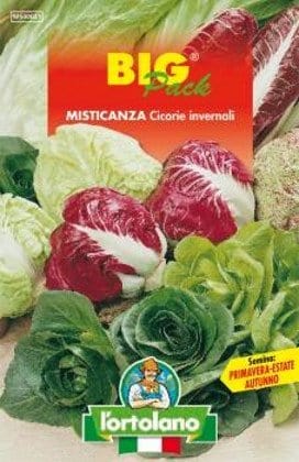 Misticanza di Cicorie Invernali - Sementi - L'Ortolano L'Ortolano (2495708)