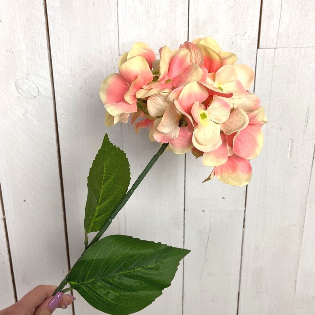 Ortensia decorativa - 68 cm Rosa Blumissima (2496414)