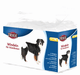 Pannolini per Cani femmine - 12 pezzi - Trixie Bianco / L Trixie (2496550)
