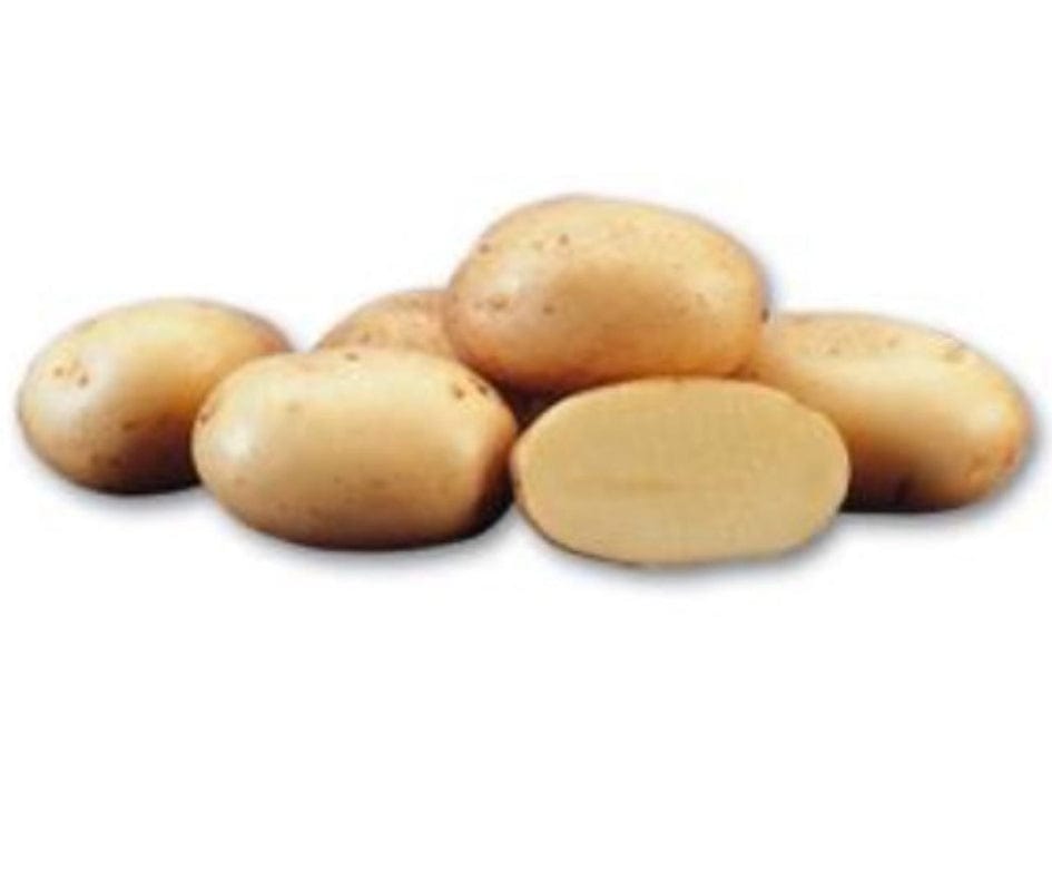 Patate da seme gialle Almera - L'Ortolano Kg. 3 - Busta L'Ortolano (2496610)