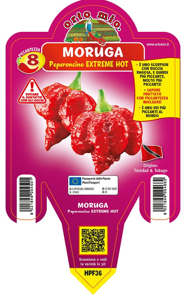 Peperoncino piccante EXTREME HOT Moruga - 1 pianta vaso 14 - Orto Mio Orto Mio (2496655)