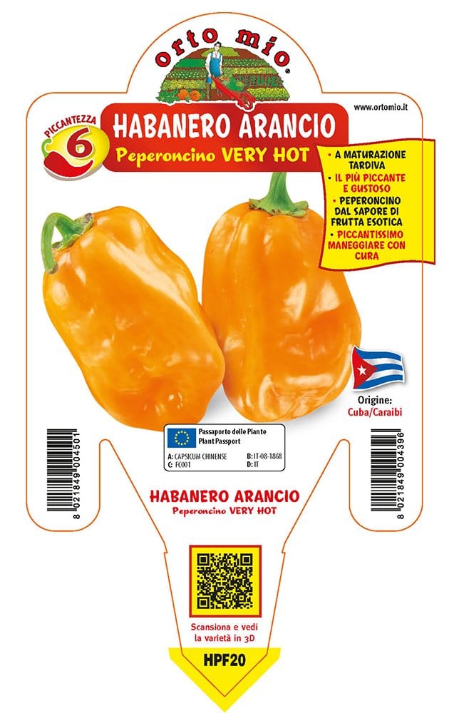 Peperoncino piccante VERY HOT Habanero arancione - 1 pianta v.14 cm - Orto Mio Orto Mio (2496689)