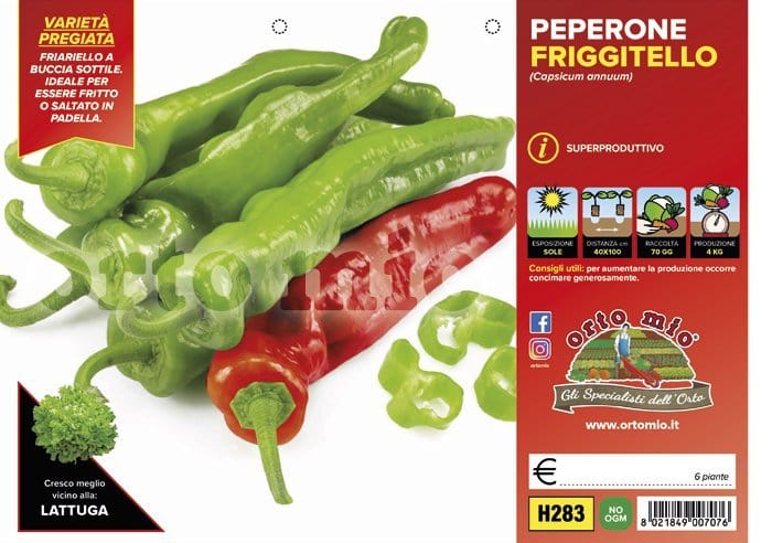 Peperone friggitello Torricello F1-Isotta F1 - 6 piante - Orto Mio Orto Mio (2496713)