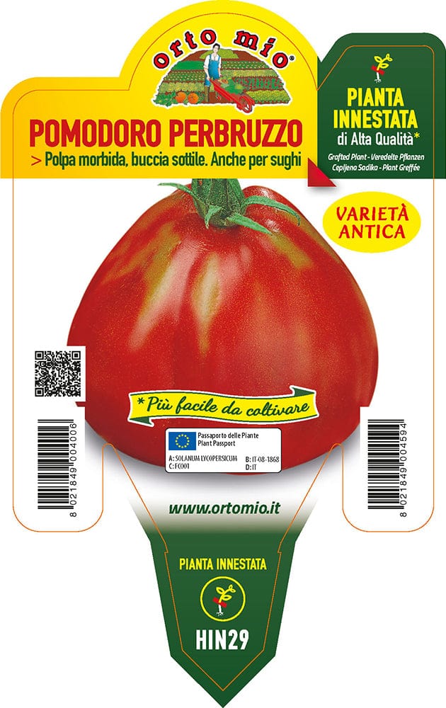 Pomodoro Abruzzese Perbruzzo Deko F1 - 1 pianta Innestata v.14 cm - Orto Mio Orto Mio (2496999)