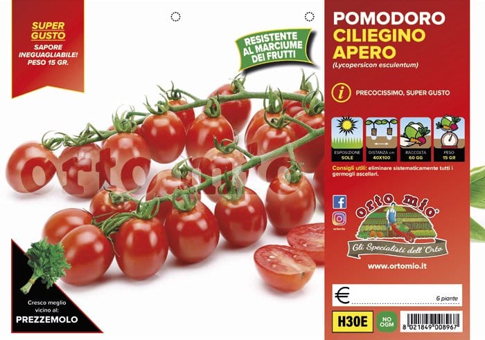 Pomodoro ciliegino dolcissimo Apero F1 - 6 piante - Orto Mio Orto Mio (2497013)