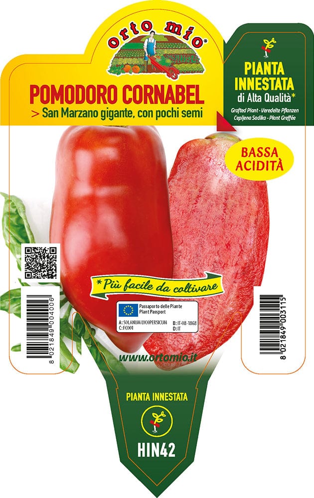 Pomodoro Corno delle Ande Cornabel F1 - 1 pianta innestata v.14 cm - Orto Mio Orto Mio (2497024)